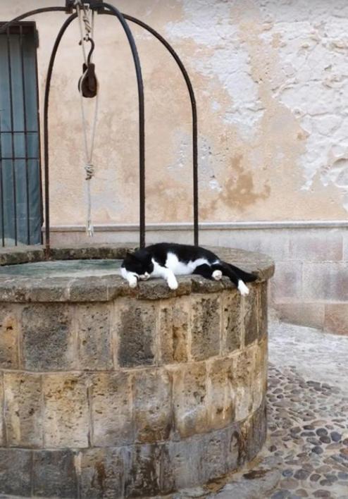 Appartamento Il Palco Alghero Esterno foto